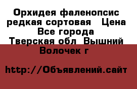 Орхидея фаленопсис редкая сортовая › Цена ­ 800 - Все города  »    . Тверская обл.,Вышний Волочек г.